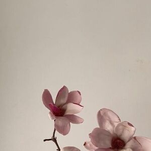 Meet your Posher, Abigail